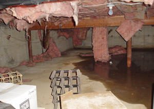 Fibre de verre qui s'égoutte du plafond d'un vide sanitaire de Longueuil