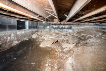 Water in a Montréal crawl space