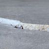 Fissures dans un plancher de dalle